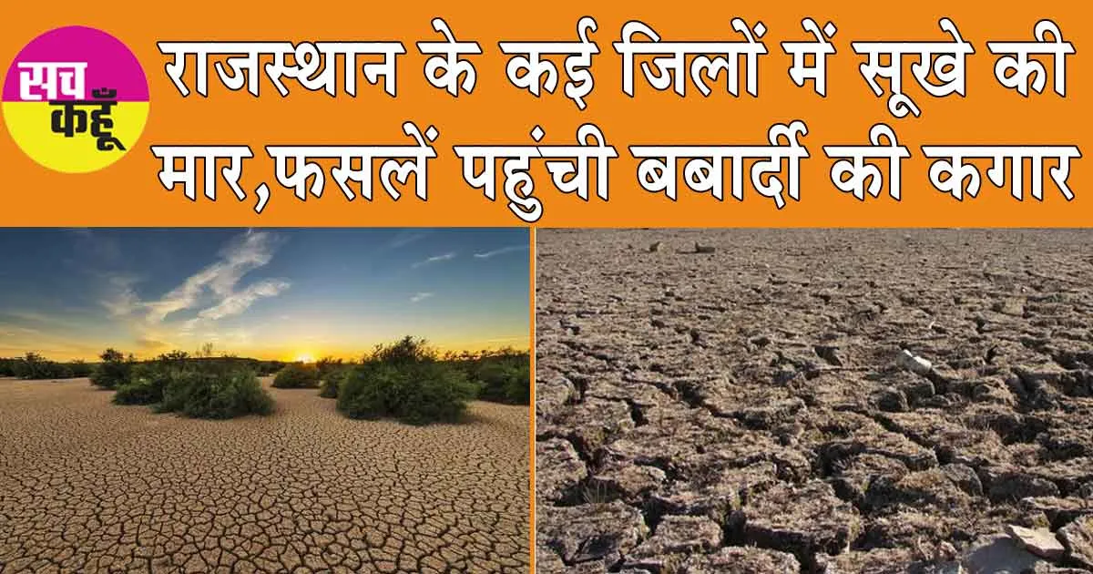 Jaipur News: राजस्थान के कई जिलों में सूखे की मार, फसलें पहुंची बर्बादी की कगार