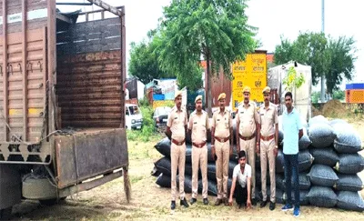 Drug Smuggler: 14 क्विंटल से अधिक डोडा पोस्त जब्त, तस्कर गिरफ्तार