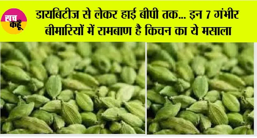Elaichi Benefits: डायबिटीज से लेकर हाई बीपी तक… इन 7 गंभीर बीमारियों में रामबाण है किचन का ये मसाला