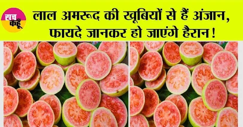 Guava Benefits: लाल अमरूद की खूबियों से हैं अंजान, फायदे जानकर हो जाएंगे हैरान!