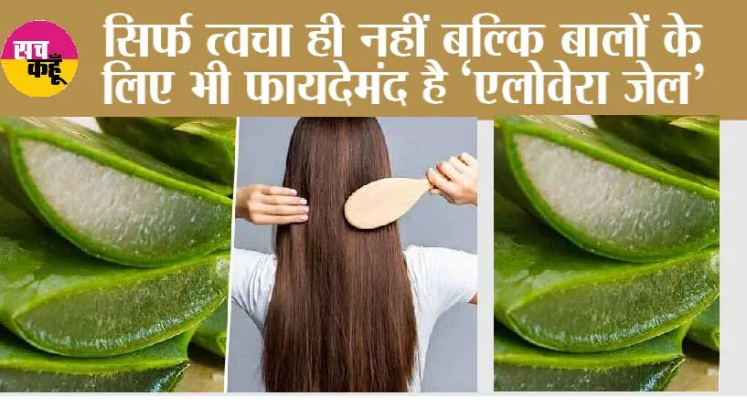 Hair Care Tips: सिर्फ त्वचा ही नहीं बल्कि बालों के लिए भी फायदेमंद है ‘एलोवेरा जेल’ बस इन तरीकों से करें इस्तेमाल