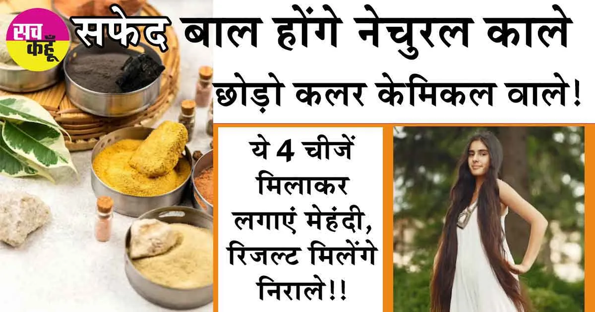 Hair Care Tips: सफेद बाल होंगे नेचुरल काले, छोड़ो कलर केमिकल वाले! ये 4 चीजें मिलाकर लगाएं मेहंदी, रिजल्ट मिलेंगे निराले!!