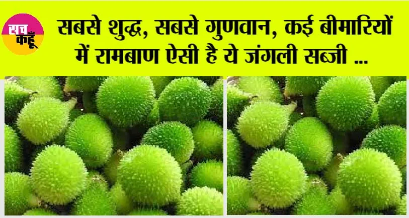 Health Care: सबसे शुद्ध, सबसे गुणवान, कई बीमारियों में रामबाण ऐसी है ये जंगली सब्जी, तोड़ना भी नहीं है आसान