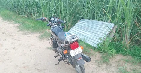 ईंट भट्ठे से टीन चोरी करके भाग रहे दो दबोचे