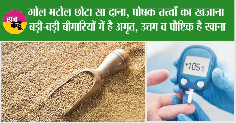 Kodo Millet Benefits: गोल मटोल छोटा सा दाना, पोषक तत्त्वों का खजाना, बड़ी-बड़ी बीमारियों में है अमृत, उत्तम व पौष्टिक है खाना