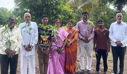 Maharashtra Tree Plantation