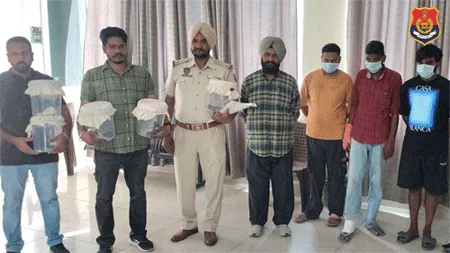 पुलिस के हत्थे चढ़े बिल्ला गैंग के 3 गुर्गे