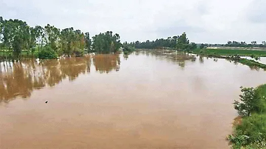पहाड़ों में बारिश, घग्गर में बढ़ा जलस्तर