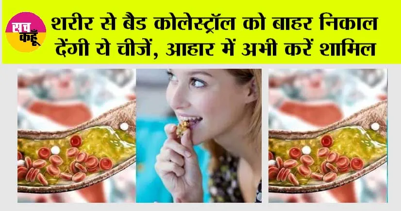 Tips To Control High Cholesterol:शरीर से बैड कोलेस्ट्रॉल को बाहर निकाल देंगी ये चीजें, आहार में अभी करें शामिल