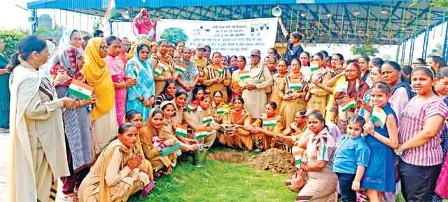 Mega Tree Plantation: साध-संगत ने पौधारोपण कर दिया हरियाली का संदेश