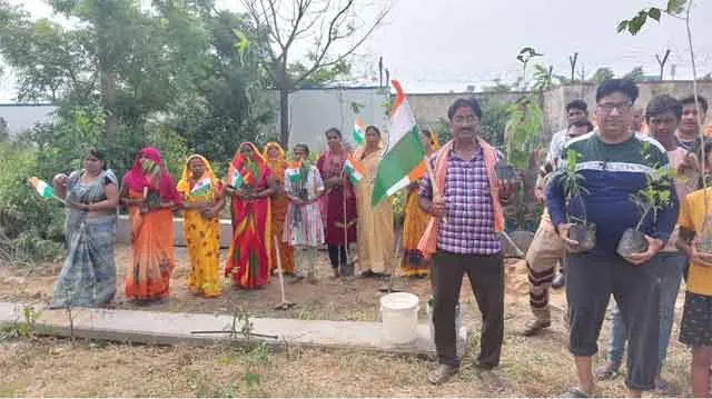 Rajasthan News: राजस्थान के 43 ब्लॉकों में साध-संगत ने लगाए 14530 पौधे