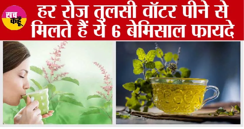 Tulsi Benefits: औषधिय गुणों से भरपूर है तुलसी, जानें तुलसी के पानी के फायदे