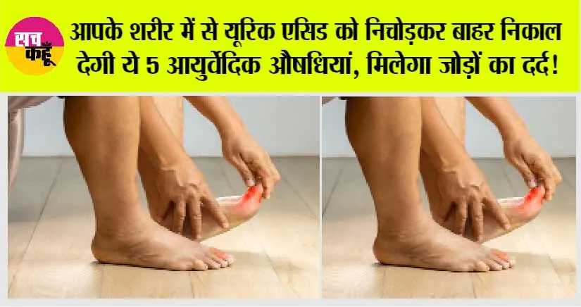 Uric Acid Control: आपके शरीर में से यूरिक एसिड को निचोड़कर बाहर निकाल देगी ये 5 आयुर्वेदिक औषधियां, मिलेगा जोड़ों का दर्द!
