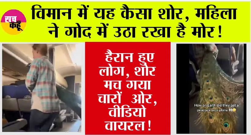 Video Viral: विमान में यह कैसा शोर, महिला ने गोद में उठा रखा है मोर! हैरान हुए लोग, शोर मच गया चारों ओर, वीडियो वायरल!