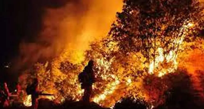 हवाई के जंगलों में लगी भीषण आग, लोगों में फैली दहशत