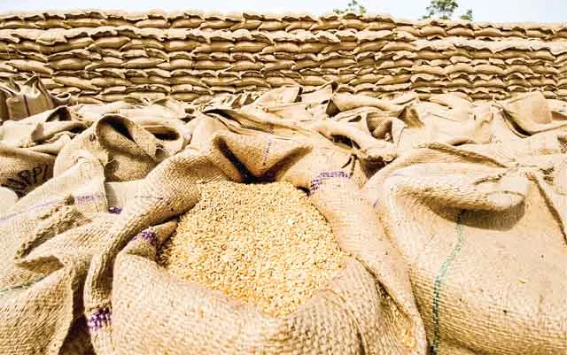 Food Grains: गहराते खाद्यान्न संकट पर भारत का रूख