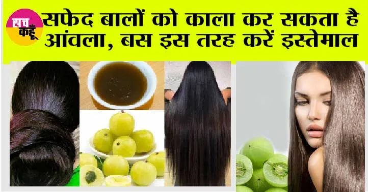 Hair Care: सफेद बालों को काला कर सकता है आंवला, बस इस तरीके से करें इस्तेमाल