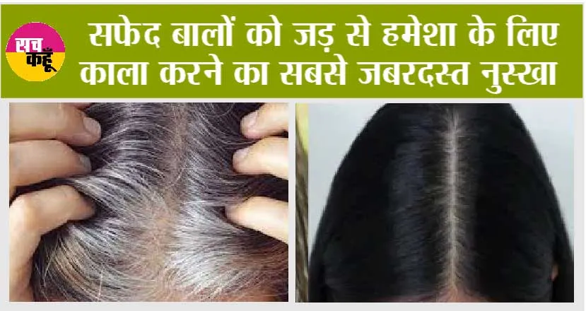 White Hair Problem Solution: सफेद बालों को जड़ से हमेशा के लिए काला करने का सबसे जबरदस्त नुस्खा?