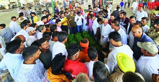 अबोहर की किन्नू मंडी में किन्नू की आमद शुरु