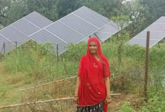 Agriculture: खुशहाली और समृद्धि की कहानी कह रहे राजस्थान के खेत-खलिहान