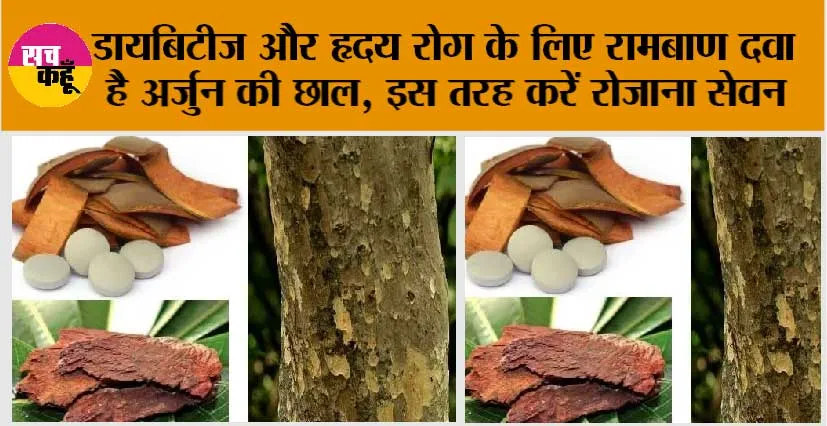 Arjuna Bark Benefits: डायबिटीज और हृदय रोग के लिए रामबाण दवा है अर्जुन की छाल, इस तरह करें रोजाना सेवन