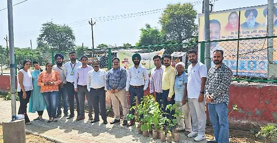 बठिंडा में पंजाब नेशनल बैंक ने किया पौधारोपण