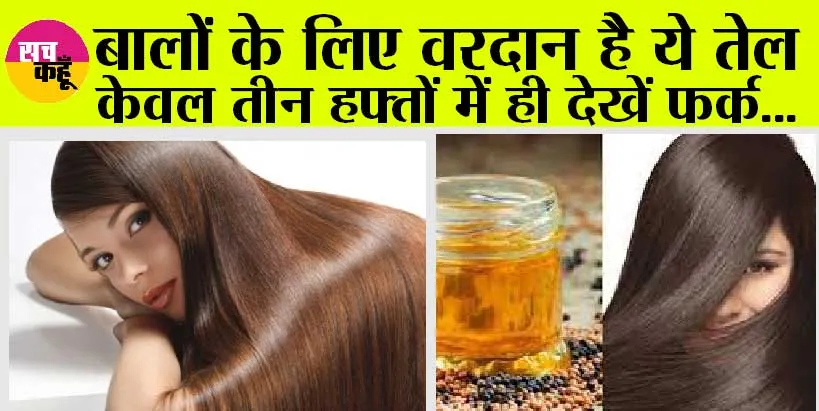 Best Hair Oil: बालों के लिए वरदान है ये तेल, केवल तीन हफ्तों में ही देखें फर्क…