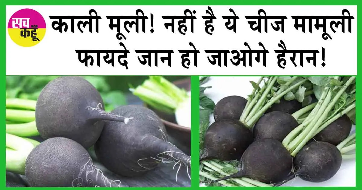 BLACK RADISH: एक ऐसी चीज जिससे लोग अंजान, लेकिन सेहत के लिए है ये वरदान!