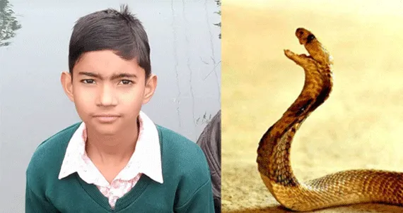 सांप काटने से किशोर की मौत….