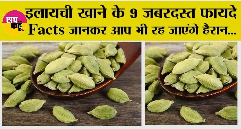 Cardamom Benefits: इलायची खाने के 9 जबरदस्त फायदे, Facts जानकर आप भी रह जाएंगे हैरान…