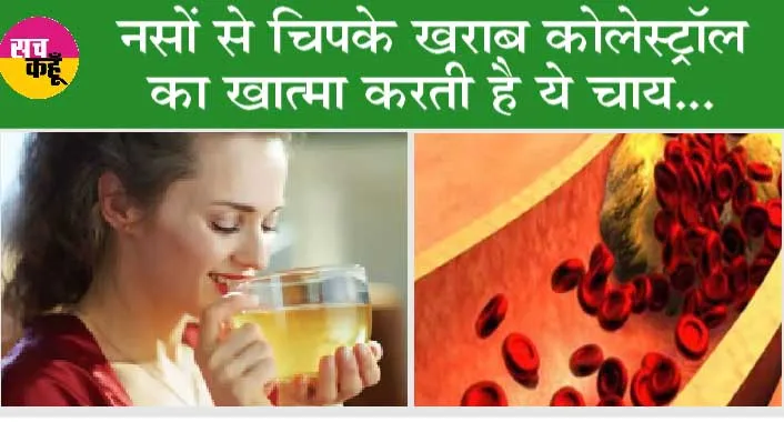 Cholesterol Melting Tea: नसों से चिपके खराब कोलेस्ट्रॉल को कम करती है ये 2 हर्बल टी….