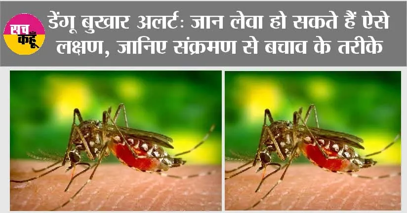 Dengue Fever: क्या है डेंगू के लक्षण, किस टेस्ट से लगता है इस जानलेवा बीमारी का पता