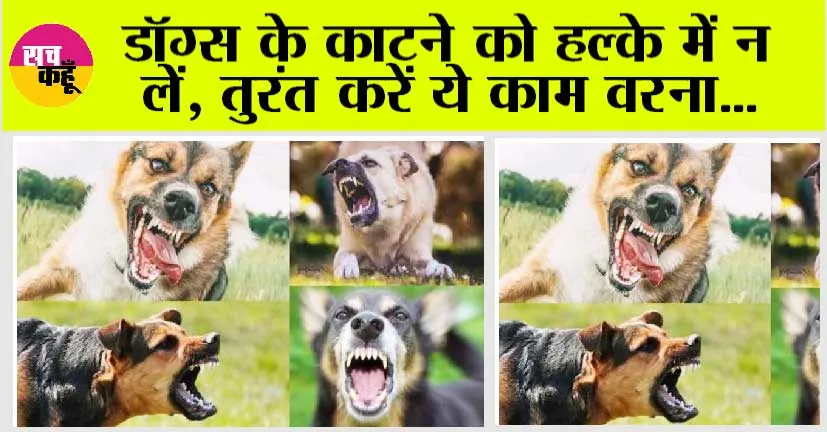 Dog Bite
