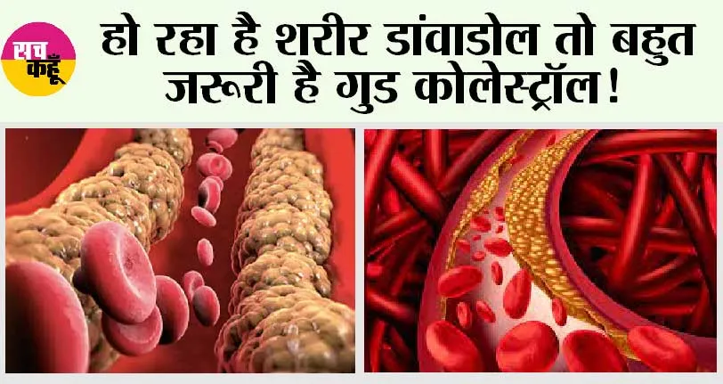 Food For Good Cholesterol: हो रहा है शरीर डांवाडोल तो बहुत जरूरी है गुड कोलेस्ट्रॉल!