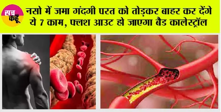 Herbs for Bad Cholesterol: नसो में जमा गंदगी परत को तोड़कर बाहर कर देंगे ये 7 काम फ्लश आउट हो जाएगा बैड कालेस्ट्रॉल