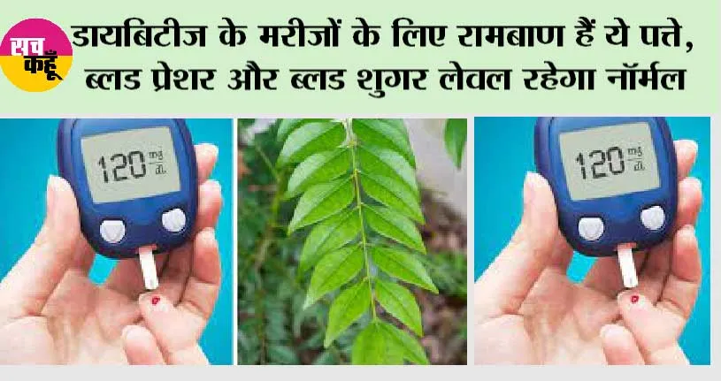 Home Remedy for Diabetes Patients: डायबिटीज के मरीजों के लिए रामबाण हैं ये पत्ते, ब्लड प्रेशर और ब्लड शुगर लेवल रहेगा नॉर्मल