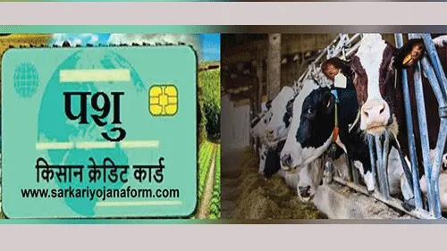 पशुपालक किसान क्रेडिट कार्ड योजना का लाभ उठाएं: डीसी