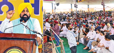 बासमती के निर्यात से तुरंत हटाई जाए पाबंदियां: मान