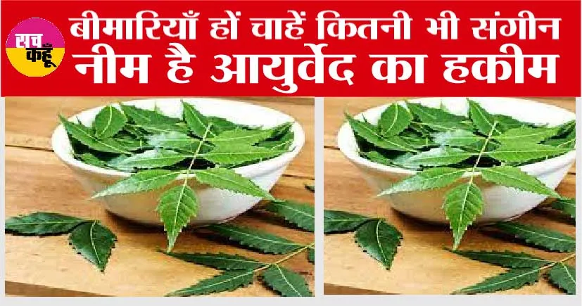 Neem Health Benefits: नीम है आयुर्वेद का हकीम, बीमारियाँ हों चाहें कितनी भी संगीन