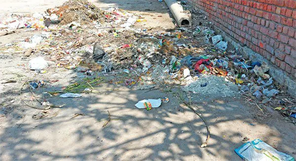 धान की सरकारी खरीद कल से, मंडियों में प्रबंध अधूरे