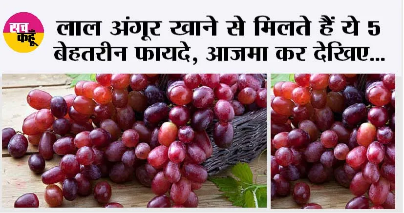 Red Grapes Benefits: लाल अंगूर खाने से मिलते हैं ये 5 बेहतरीन फायदे, आजमा कर देखिए, भूल जाओगे सारे फल!
