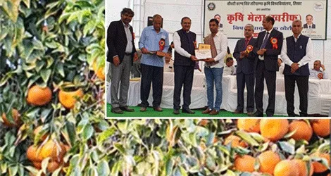 सरसा का ये किसान, नर्सरी में पौधे तैयार कर 12 राज्यों में भेज कर, लाखों की कर रहा कमाई