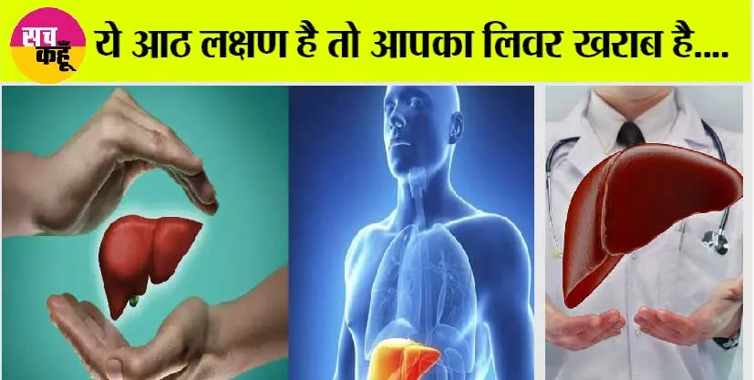 Symptoms Of Liver Damage: लिवर खराब होने के 8 शुरूआती लक्षण, समय पर पहचान लिया जाये तो जिगर को खराब होने से बचाया जा सकता है