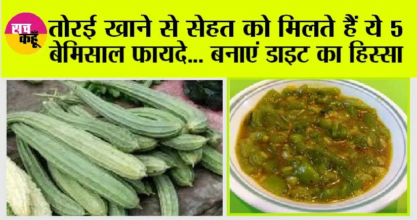 Benefits Of Turai: तोरई की सब्जी खाने के एक नहीं अनेक हैं फायदे