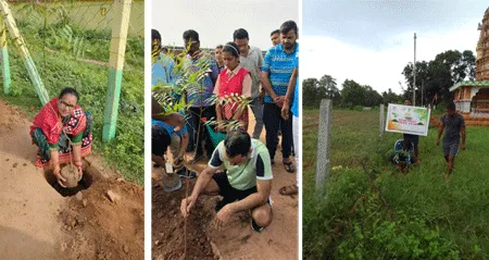 महापरोपकार माह की खुशी में ओडिशा के विभिन्न ब्लॉको की साध-संगत ने 809 पेड़ लगाकर, मनाई खुशियां