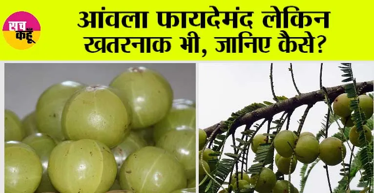 Amla Side Effects: आंवला फायदेमंद लेकिन खतरनाक भी, जानिए कैसे?