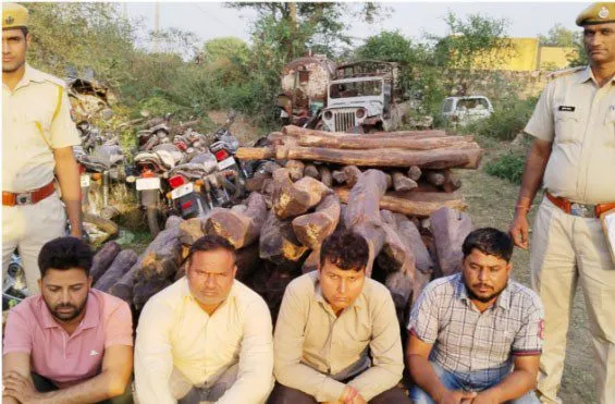 सीआईडी ने 12 करोड़ कीमत की लाल चंदन की लकड़ी पकड़ी