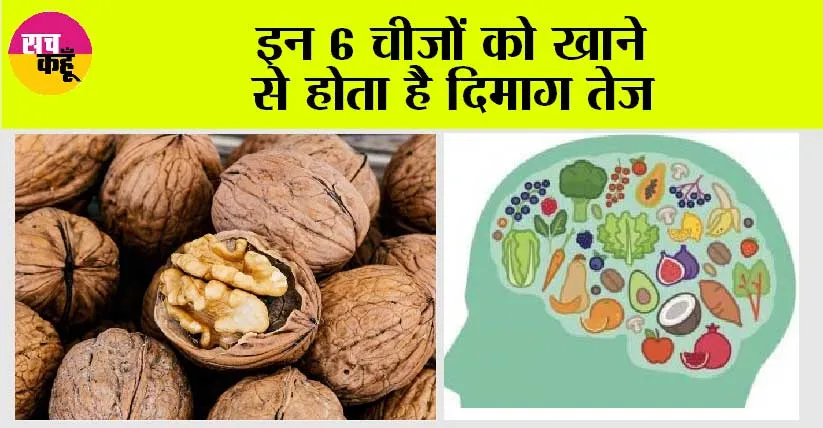Brain Boosting Foods: आपके गजनी जैसे दिमाग में पावर भर देंगी ये 6 चीजें….