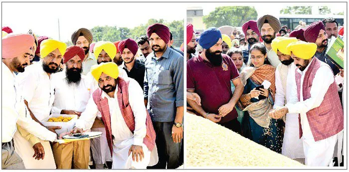 पंजाब में धान की खरीद का आगाज