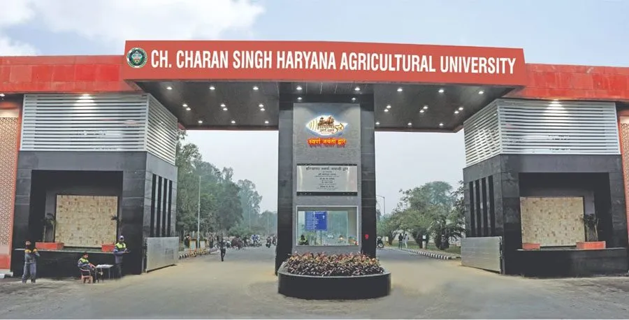 हरियाणा दिवस पर विशेष: देश के खाद्यान उत्पादन में दूसरा सबसे बड़ा राज्य बना हरियाणा